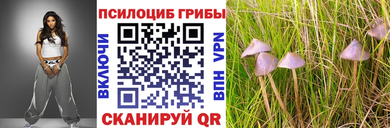 Купить  Ижевск  Галлюциногенные грибы GOLDEN TEACHER 